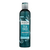 Jason Normalizing Treatment Conditioner Tea Tree - 8 fl oz