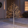 Celebrations LED Warm White 6 ft. Birch Stick Tree Yard Decor