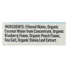 Nooma Electrolite Drink - Organic - Blueberry Peach - Case of 12 - 16.9 fl oz