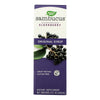 Nature's Way - Sambucus Original Syrup - 8 fl oz