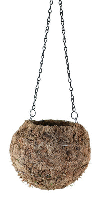 Syndicate Sales Inc 1291-06-080 6" Hanging Kokedama Sphagnum With Long Lasting Preserved Moss