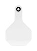 Y-Tex  Medium Blank  Plastic  2-Piece Ear Tag