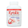 Kyolic - Aged Garlic Extract Stress and Fatigue Relief Formula 101 - 300 Capsules