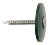 Stallion  2 in. Cap  Electro-Galvanized  Steel  Nail Cap  Flat  1 lb. (Pack of 6).