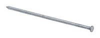 Grip-Rite 60D 6 in. Pole Barn Hot-Dipped Galvanized Steel Nail Flat Head 30 lb