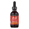 Bricker Labs - Blast B12 Vitamin B12 and Folic Acid - 2 fl oz