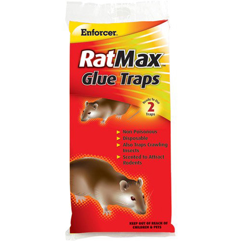 Bulk Rodent Trap Glue, 1 gal.