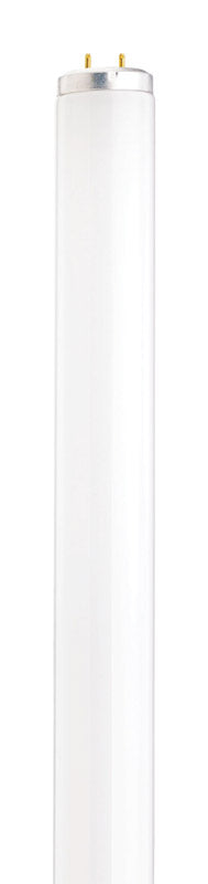 Satco 20 W T12 1.5 in. D X 23.78 in. L Fluorescent Bulb Daylight Linear 6500 K 1 pk