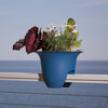 Bloem Modica Blue Plastic UV-Resistant Round Deck Rail Planter 8.8 H x 12 Dia. in. (Pack of 6)