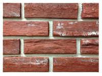 Burnt Sienna Brick Facing, 20-Count