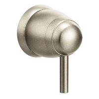 Brushed nickel volume control