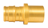 Apollo Expansion PEX / Pex A 1/2 in. PEX  T X 1/2 in. D Male  Brass Male Adapter