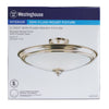 Westinghouse  8 in. H x 15-1/4 in. W x 15.25 in. L Ceiling Light