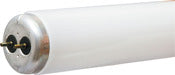 Ge Lighting 80045 24 20 Watt Cool White Ecolux T12 Fluorescent Bulb (Pack of 24)