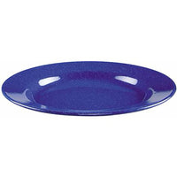 Coleman  Blue  Plate  10 in. W x 10 in. L 1 pk