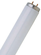 Feit Electric Fluorescent Cool White Tube Light Bulbs 1-1/2 Dia. x 48 L in. 40W (Pack of 30)