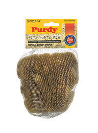 Purdy  Symphony  Sea Sponge