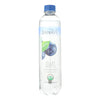 Sanavi Sparkling Spring Water - Blueberry - Case of 12 - 17 Fl oz.