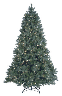 Artificial Pre-Lit Christmas Tree, Douglas Blue Fir With 700 Warm White LED Lights, Hinged, 7.5-Ft.