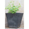 Novelty Artstone 11.5 in. H X 11.8 in. W X 11.8 in. D Resin Ella Planter Black