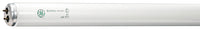 GE Ecolux 34 W T12 48 in. L Fluorescent Bulb Cool White A-Line 4100 K (Pack of 30)