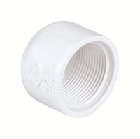 Dura  Schedule 40  1/2 in. FPT   PVC  Cap