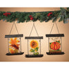 Gerson  Fall Decoration (Pack of 3)