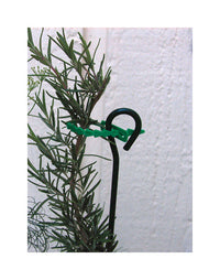 Luster Leaf Single Hoop Plant Stake 28 " (Case of 72)