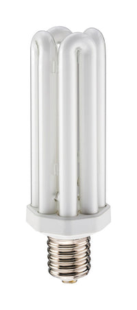 Lithonia Lighting  65 watts Tubular  9.8 in. L CFL Bulb  Cool White  Specialty  4100 K 1 pk