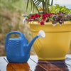 Bloem Llc JW82-33 2 Gallon Plastic Classic Deep Sea Watering Can