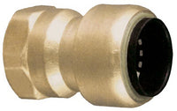 Mueller ProLine 3/8 in. Push  T X 1/2 in. D FPT  Brass Reducing Adapter