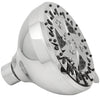 Waxman Consumer Group 8264201 4.25 Chrome Spamassage 6-Spray Fixed Shower Head