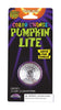 Pumpkin Pro Color Change Pumpkin Light Lighted Pumpkin Light 7-11/16 in. H x 3-3/4 in. W 1 pk (Pack of 24)