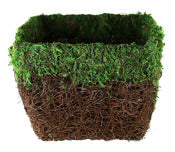 Syndicate Sales Inc 1231-12-070 7.5 X 7.5 Square Preserved Moss Maya Planter