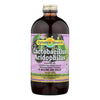 Dynamic Health Lactobacillus Acidophilus Black Cherry - 16 fl oz