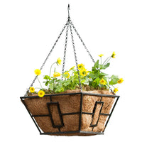 Hanging Plant Basket, Black Steel, 14-In. Square (Pack of 6)