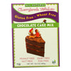 Cherrybrook Kitchen - Chocolate Cake Mix - Gluten Free Wheat Free - Case of 6 - 16.4 oz