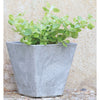 Novelty Artstone 11.5 in. H X 11.75 in. W X 11.75 in. D Resin/Stone Powder Ella Planter Gray