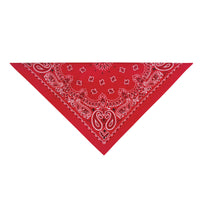 TOP PERFORMANCE Red Paisley Bandana