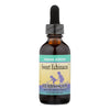 Herbs For Kids Sweet Echinacea - 2 fl oz