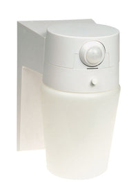 Heath Zenith Motion-Sensing Hardwired LED White Security Light