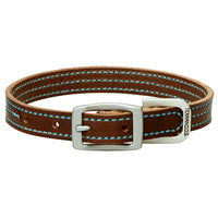 Straight Dog Collar, Brown/Blue, 1 x 21-In.