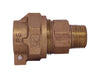 Legend 3/4 in. IPS X 3/4 in. D MNPT Bronze Coupling