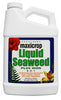 MaxiCrop Seaweed Plus Iron Root Drench