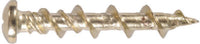 Hillman 3/16 in. Dia. x 1-1/4 in. L Brass Pan Head Walldog Screw & Anchor 20 pk (Pack of 10)