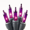 Celebrations Purple 100 ct Incandescent String Lights