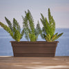 Bloem Llc Dcbt24-45 24 Rectangular Chocolate Plastic Dura Cotta Window Box Planter