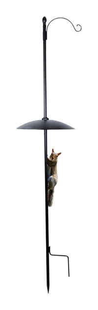 The Effortless Birdfeeder  Squirrel Baffle Birdfeeder Pole