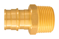 Apollo Expansion PEX / Pex A 3/4 in.   PEX  T X 3/4 in.   D MPT  Brass Male Adapter