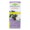 Nature's Way - Organic Sambucus For Kids - Elderberry Syrup - 4 fl oz